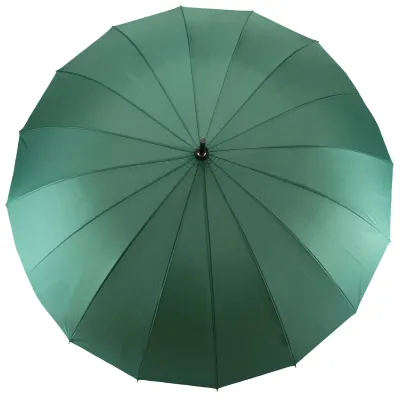 Зонт Semi Line Green (2512-6) - Robinzon.ua