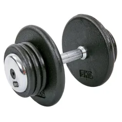 Гантель 20 кг цільна професійна RECORD-7231-20 - Robinzon.ua