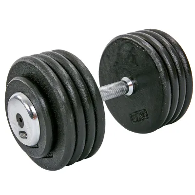 Гантель 45 кг цільна професійна RECORD-7231-45 - Robinzon.ua