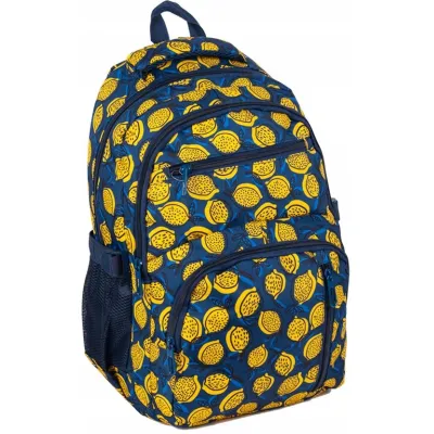 Рюкзак міський Paso синий на 24л - Robinzon.ua