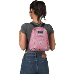 Молодежный рюкзак 10L Jansport Half Pint розовый - Robinzon.ua