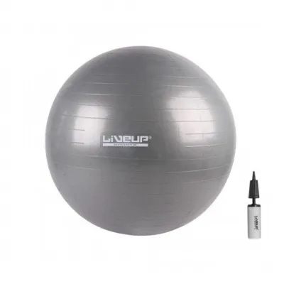 Фитбол (насос в комплекте) LiveUP ANTI-BURST BALL серый 75см LS3222-75g - Robinzon.ua
