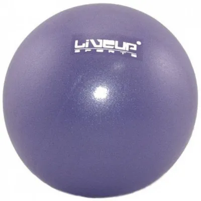 Мяч LiveUP MINI BALL фиолетовый 20см LS3225-20p - Robinzon.ua