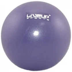 Мяч LiveUP MINI BALL фиолетовый 20см LS3225-20p - Robinzon.ua