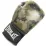 Боксерские перчатки  Everlast SPARK TRAINING GLOVE черный Уни 10 унций P00002413 - Robinzon.ua