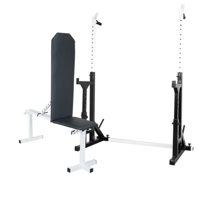 Скамья регулируемая для жима 40 на 40 мм + Стойки со страховкой 40 на 40 мм с брусьями и штырями под блины - Robinzon.ua