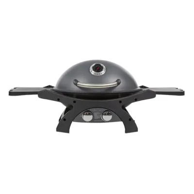 Портативный газовый гриль Pit Boss Sportsman 2, 10752 + (31913,40416,40418,40420,40422). - Robinzon.ua