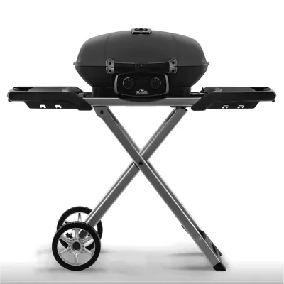Портативный газовый гриль на подставке NapoleonTravelQ 285Х TQ285X-BK-1-CE. - Robinzon.ua