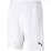 Шорты Puma teamRISE Short Jr белый Дет 176 см 704943-03 176 см - Robinzon.ua