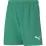 Шорты Puma teamRISE Short Jr зеленый Дет 164 см 704943-05 164 см - Robinzon.ua