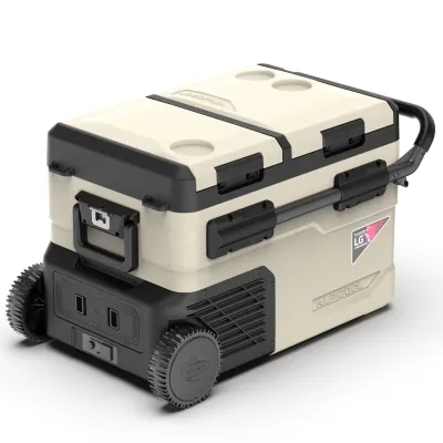 Компресорний автохолодильник Alpicool TGBSW35 (LG). 38 літрів. Двокамерний. До -20℃. (12, 24, 220 вольт) - Robinzon.ua