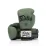 Боксерські рукавиці Fairtex BGV11 Green 16 унцій - Robinzon.ua