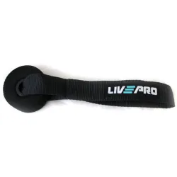 Фіксатор для еспандера LivePro DOOR ANCHOR чорний 25см LP8403 - Robinzon.ua