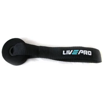 Фиксатор для эспандера LivePro DOOR ANCHOR черный 25см LP8403 - Robinzon.ua