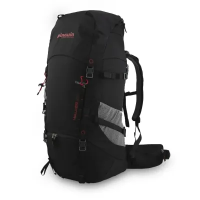 Рюкзак Pinguin Walker 50, Black (PNG 321197) 2020 - Robinzon.ua