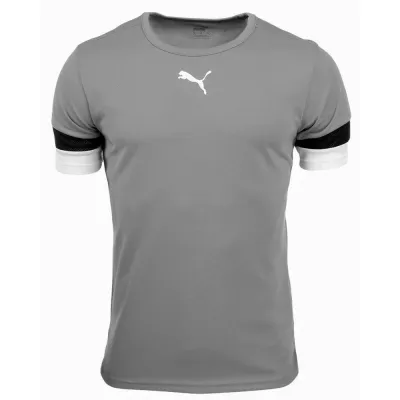 Футболка Puma teamRISE Jersey Jr сірий Діт 116 см 704938-13 116 - Robinzon.ua