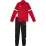 Костюм спортивний PUMA teamRISE Tracksuit Jr червоний, чорний Дитячий 140 см 658655-01 140 см - Robinzon.ua