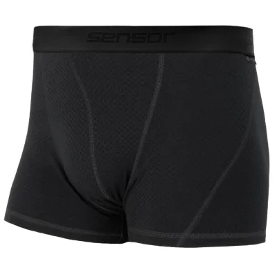 Термотруси чоловічі Sensor Merino DF black 15100027, SM21M-black-L - Robinzon.ua