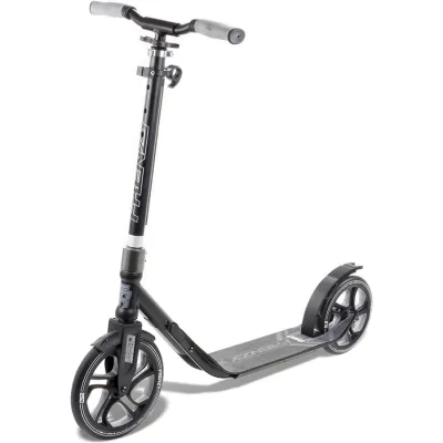 Frenzy самокат 250 mm Recreational black - Robinzon.ua