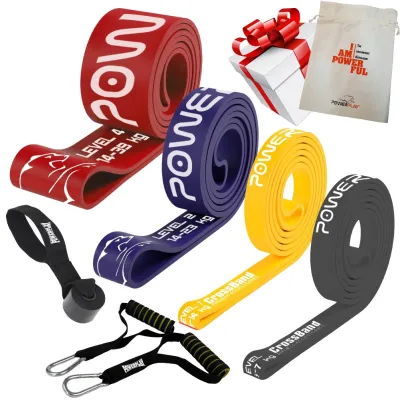 Еспандер-петля (гумові петлі) PowerPlay PP_0024 набір 4шт. опір 2-39кг. (сумарно 83кг.) + ручки та якір - Robinzon.ua