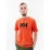 Футболка HELLY HANSEN HH LOGO T-SHIRT 33979-300 - Robinzon.ua