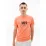 Футболка HELLY HANSEN RWB GRAPHIC T-SHIRT 53763-284 - Robinzon.ua