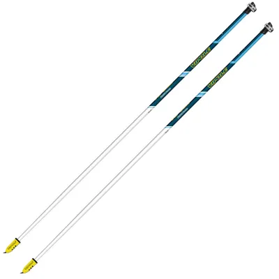 Секция палок для скандинавской ходьбы Vipole Asta Power Steps Blue 120 (SW20 01) - Robinzon.ua