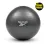 Гімнастичний м'яч Reebok 55 CM  RAB-12015BK темно-сірий - Robinzon.ua