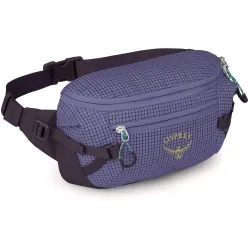 Поясная сумка Osprey Transporter Waist Pack фиолетовый 009.3927 - Robinzon.ua