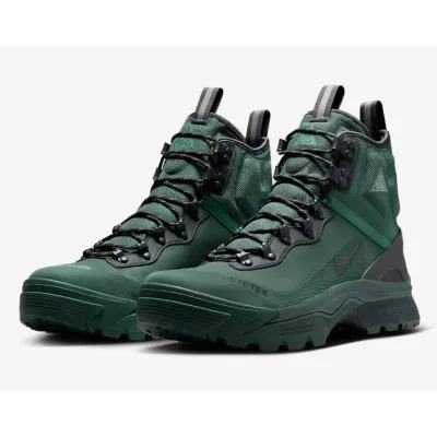 Кросівки NIKE ACG ZOOM GAIADOME GORE-TEX DD2858-300 - Robinzon.ua