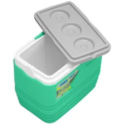 Изотермический контейнер Pinnacle Eskimo, 10 л, бирюзовый - Robinzon.ua