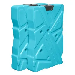 Аккумуляторы температуры Pinnacle 2х600, бирюзовый - Robinzon.ua