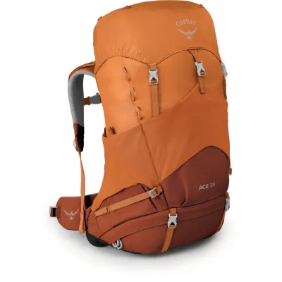 Рюкзак Osprey Ace 38 Orange Sunset, O/S (009.2133) - Robinzon.ua