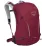 Рюкзак Osprey Hikelite 26 (2023), Sangria red, O/S (843820153880) - Robinzon.ua