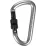 Брелок-карабин Salewa D-Shape Carbiner with Screw - Robinzon.ua