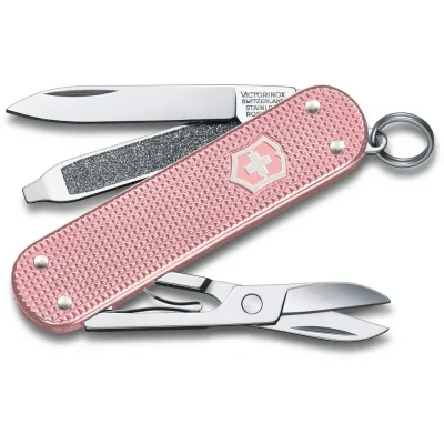 Складной нож Victorinox Classic SD Vx06221.252G - Robinzon.ua