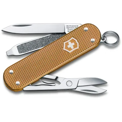 Складной нож Victorinox Classic SD Vx06221.255G - Robinzon.ua