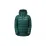 Жіночий зимовий пуховик Montane Female Anti-Freeze XT Hoodie, Wakame Green, L/14/40 (5056237082567) - Robinzon.ua