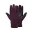 Перчатки Montane Female Neutron Glove, Saskatoon Berry, р.L (GFNGLSASN08) - Robinzon.ua