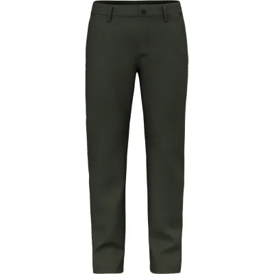 Штаны мужские Salewa Fanes Hemp Pant M, Green dark olive, 50/L (28690/5280 50/L) - Robinzon.ua