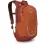 Рюкзак детский Osprey Daylite Jr 10L Orange Dawn/Bazan (009.3468) - Robinzon.ua