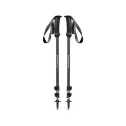 Трекінгові телескопічні палиці Black Diamond Trail Explorer 3, Anthracite (BD 1122290001ALL1) - Robinzon.ua