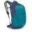 Рюкзак Osprey Daylite Plus One Size синий/бирюзовый - Robinzon.ua