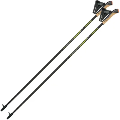 Палки для скандинавской ходьбы Gabel FX-75 Snake Carbon 105 Dual Spike 125 - Robinzon.ua
