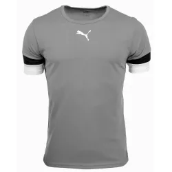 Футболка Puma teamRISE Jersey Jr сірий Діт 140 см 704938-13 140 - Robinzon.ua