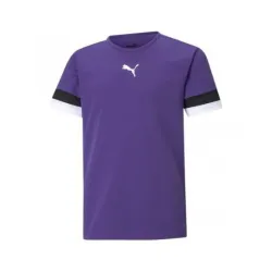 Футболка Puma teamRISE Jersey Jr фіолетовий Діт 152 см 704938-10 152 - Robinzon.ua