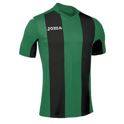 Футболка Joma PISA V черный,зеленый S 100403.451 S - Robinzon.ua