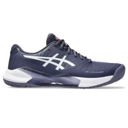 Мужские Кроссовки Asics GEL-CHALLENGER 14 all court Серый 42 (1041A405-500 42) - Robinzon.ua