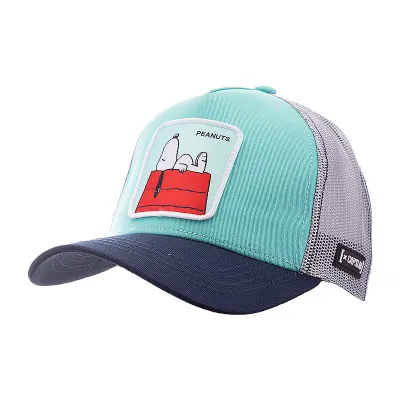 Мужская Кепка CAPSLAB PEANUTS Разноцветный One size (7dCL/PEA3/1/CAS/PE2 One size) - Robinzon.ua