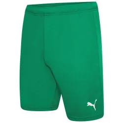 Шорти Puma teamRISE Short зелений Чол 2XL 704942-05 2XL - Robinzon.ua